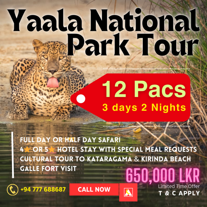 LunaFareTours_TourOffer_Yaala_11Mar2025_v1.0